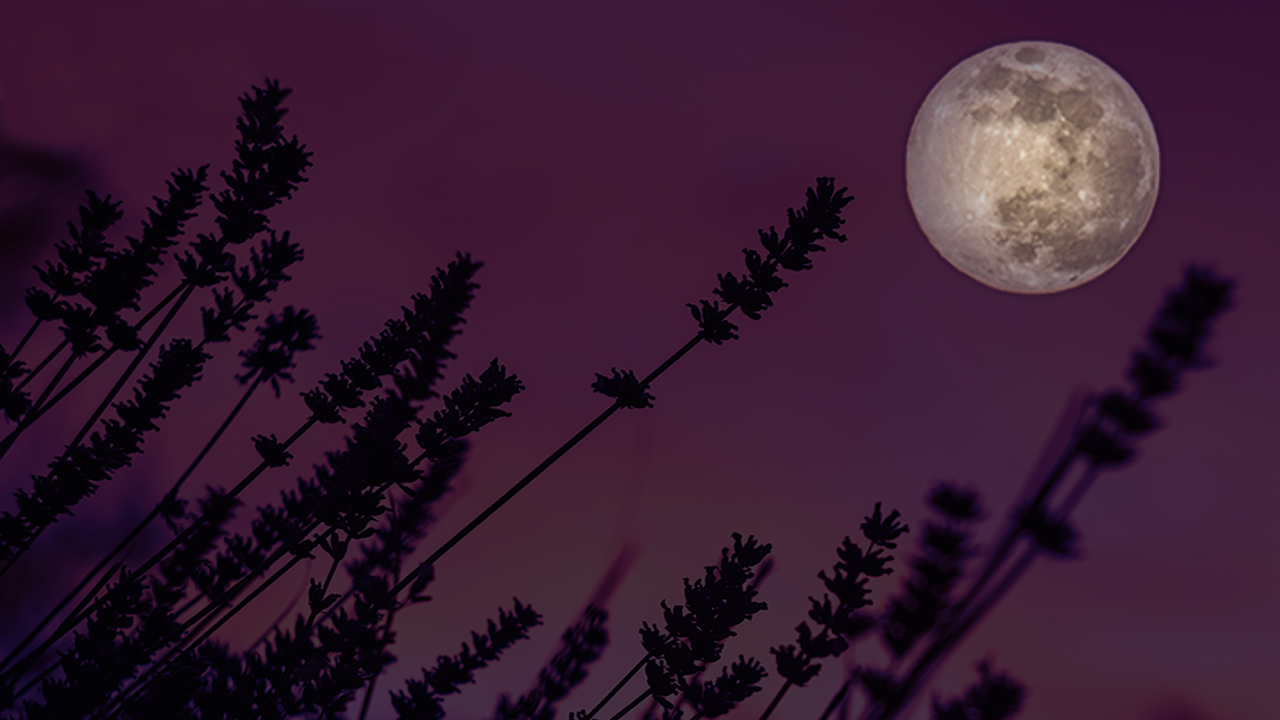 How To View The Super Flower Moon Lowell Observatory