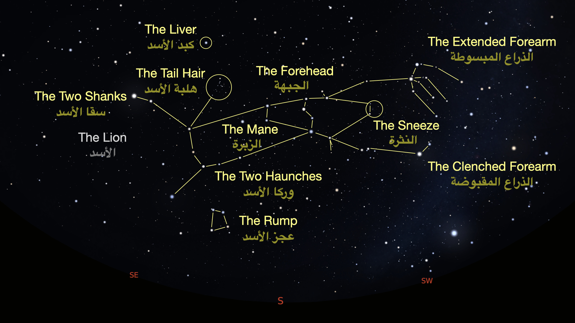 The Great Lion of indigenous Arabian astronomy